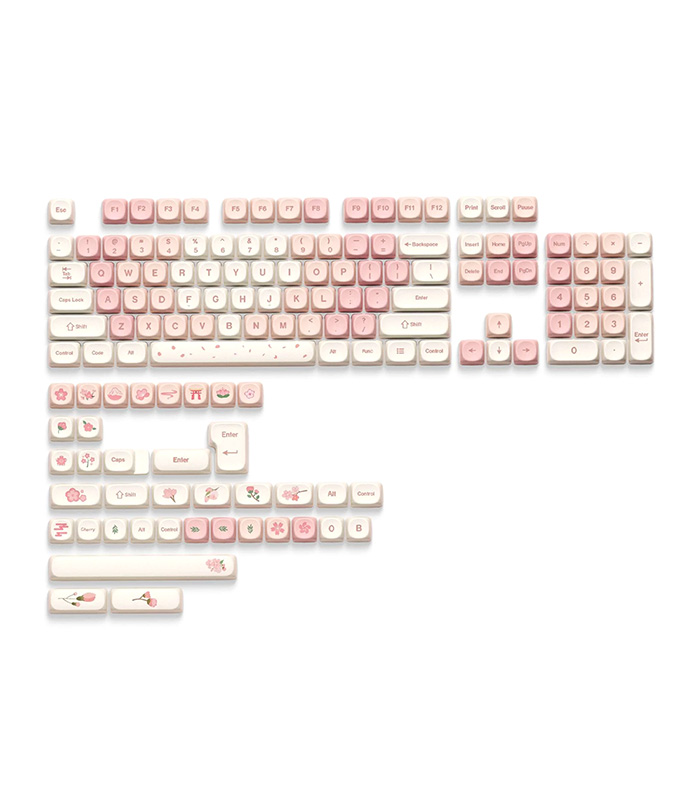 XVX Sakura